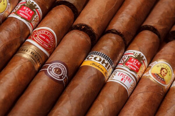 Cubano - TPA (concentrado)