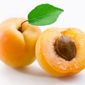 Damasco (concentrado)