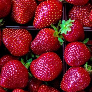 Frutilla (concentrado)