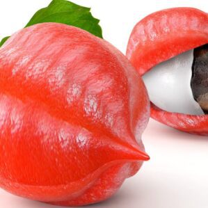 Guaraná (concentrado)