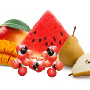 Mix Frutal (concentrado)