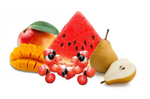 Mix Frutal (concentrado)