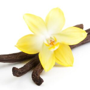 Vainilla (concentrado)